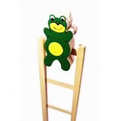 Frog with ladder